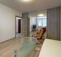 Wohnzimmer in einer Einzimmerwohnung mit Holzboden, Sofa und Fernseher.