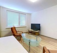Wohnbereich mit Sofa, Sessel und Tisch in einer Einzimmerwohnung, Boden mit Holzdekor.