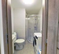 Badezimmer mit Dusche und Waschmaschine in einer Einzimmerwohnung.