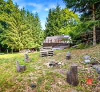 Eine Hütte in Píla, umgeben von Wald, mit einer Sitzecke und einer Feuerstelle im Garten.