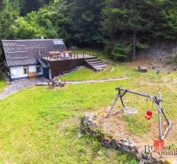 Eine Hütte bei der Sägemühle, umgeben von Wald, mit Schaukeln auf dem Rasen.
