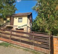 Ein Einfamilienhaus in Svodín, umgeben von Grün, mit einer Steinterrasse, zu verkaufen.