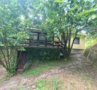 Ein Einfamilienhaus in Svodín, umgeben von Grün, mit einer Terrasse und einem Gehweg.