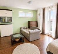 Ein Zimmer in einer Einzimmerwohnung mit einem Sofa, Möbeln und einem Boden mit Holzdekor.
