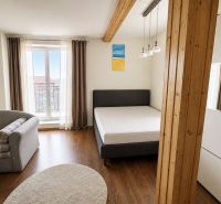 1-Zimmer-Wohnung mit Holzboden, Sofa und Bett.