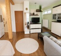 Wohnzimmer in einer Einzimmerwohnung mit Holzboden, Fernseher und Sofa.