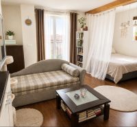 Heller Wohnbereich in einer Einzimmerwohnung mit Holzboden und bequemen Sofa.