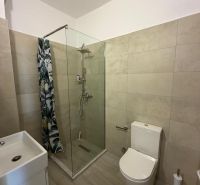 Badezimmer in einem Studio-Apartment mit WC, Dusche und Waschbecken.