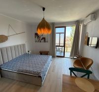 Einzimmerwohnung mit Bett, Holzboden und Terrasse bietet Aussicht.