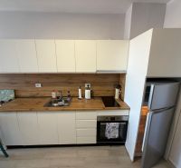 Küchenzeile mit Holzdekor und Ausstattung in einem Einzimmerapartment.