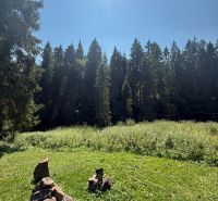 Sonnenbeschienene Erholungsgrundstücke in Litmanová, umgeben von Wald und Grün.