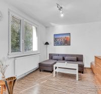 Wohnbereich einer Einzimmerwohnung mit Holzboden und Sofa.