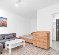 Wohnzimmer einer Einzimmerwohnung mit Holzboden, Sofa und Bett.