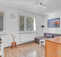 Wohnzimmer in einer Einzimmerwohnung mit Holzboden, Tisch und Sofa.