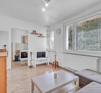 Wohnzimmer mit Holzboden und Möbeln in einer Einzimmerwohnung.