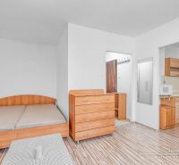Einzimmerwohnung mit Bett, Kommode und Kochnische mit Holzboden.