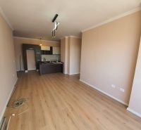 Küche in der Ferienwohnung mit Holzboden und sanften Farben an den Wänden.