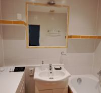 Badezimmer mit Waschbecken, Spiegel, Waschmaschine und Badewanne in einer 2-Zimmer-Wohnung.