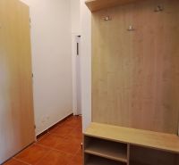 Eingangsbereich mit Schuhschrank und Garderobe in einer 2-Zimmer-Wohnung, Boden mit Holzdekor.