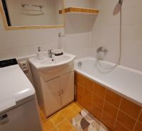Badezimmer in einer 2-Zimmer-Wohnung mit Dusche, Waschmaschine und Waschbecken.