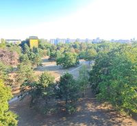 Grünflächen und Bäume im Park in Bratislava - Ružinov in der Nähe der Sputnikova-Straße.