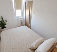 Schlafzimmer in einer 2-Zimmer-Wohnung mit Bett, Pflanze und Fenster.