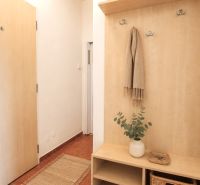 Eingangsflur mit Garderobenwand, Pflanze und Küchenzeile in einer 2-Zimmer-Wohnung.