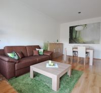 Wohnzimmer mit Sofa und Esstisch in einer 2-Zimmer-Wohnung, Boden mit Holzdekor.