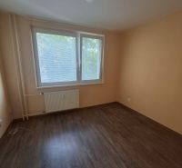Ein Zimmer in einer 3-Zimmer-Wohnung mit einem Boden in Holzoptik und einem großen Fenster.