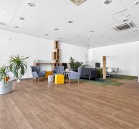 Geschäftsräume mit Sesseln, Pflanzen und einem Boden in Holzoptik, die komfortable Sitzgelegenheiten bieten.