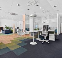 Gewerbeflächen mit Glaswänden und Boden in Holzoptik, bunte Teppiche.