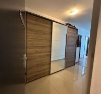 Flur mit Einbauschrank mit Schiebetüren und Boden in Holzoptik.