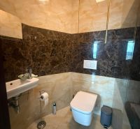 Toilette mit Waschbecken in einer 3-Zimmer-Wohnung, Steinverkleidung und Boden.