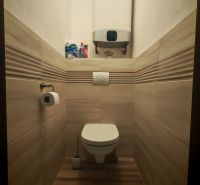 Badezimmer in einer 2-Zimmer-Wohnung mit Toilette, gefliest mit Wänden und Boden in Holzoptik.