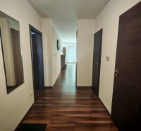 Ein Flur mit Holzboden in einer Zweizimmerwohnung mit Spiegel und Türen.