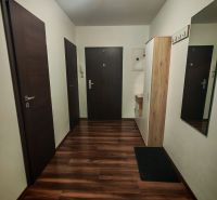 Eingangsbereich einer Zweizimmerwohnung mit Holzboden und Garderobe.