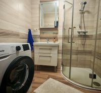 Badezimmer in einer 2-Zimmer-Wohnung mit Holzboden, Waschmaschine und Duschkabine.