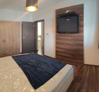Schlafzimmer einer Zweizimmerwohnung mit Holzboden, Fernseher und Schrank.