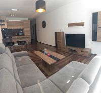 Wohnzimmer in einer 2-Zimmer-Wohnung mit Holzboden, Sofa und TV-Wand.