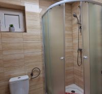 Badezimmer im Einfamilienhaus mit Toilette und Dusche in Holzoptik.