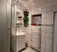 Badezimmer mit Fliesen, Duschkabine, Waschbecken und Heizkörper, eingerichtet in einem Einfamilienhaus.