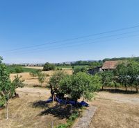 Die Landschaft in der Umgebung des Einfamilienhauses in der Biela-Straße in Kazimír mit Obstbäumen.