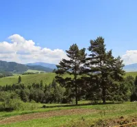 Schöne Landschaft von landwirtschaftlichen und forstwirtschaftlichen Flächen bei Valaská mit hügeliger Landschaft.