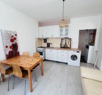 Küche in einer Einzimmerwohnung mit Holztisch, Stühlen und Boden mit Holzdekor.