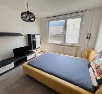 Helles Zimmer in einer Einzimmerwohnung mit Holzboden, Bett und Fernseher.