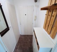Ein schmaler Flur in einer Einzimmerwohnung mit braunem Boden und einem Kleiderständer aus Holz.