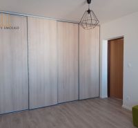 In der 2-Zimmer-Wohnung befindet sich ein Einbauschrank und ein Boden mit Holzdekor.
