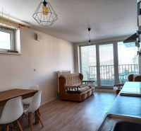 Wohnzimmer in einer Zweizimmerwohnung mit Sofa, Tisch und großen Fenstern zur Terrasse.