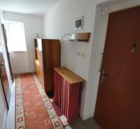 Ein enger Flur mit Teppichboden und einfacher Einrichtung in einer 2-Zimmer-Wohnung.