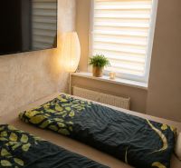 Ein abgegrenzter Bereich des Schlafzimmers in einer 3-Zimmer-Wohnung, ein großer Fernseher und eine Pflanze auf der Fensterbank.